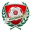 فيتونغو logo