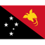 بابوا غينيا الجديدة logo