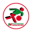 Pöttinger Grieskirchen logo
