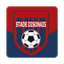 Stade Disonais