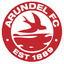 أروندل logo