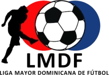Liga Mayor